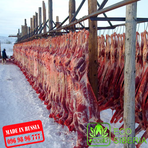Thịt hươu Siberia - Nhung Hươu Siberia - Công Ty TNHH ECO SIBERIA Việt Nam